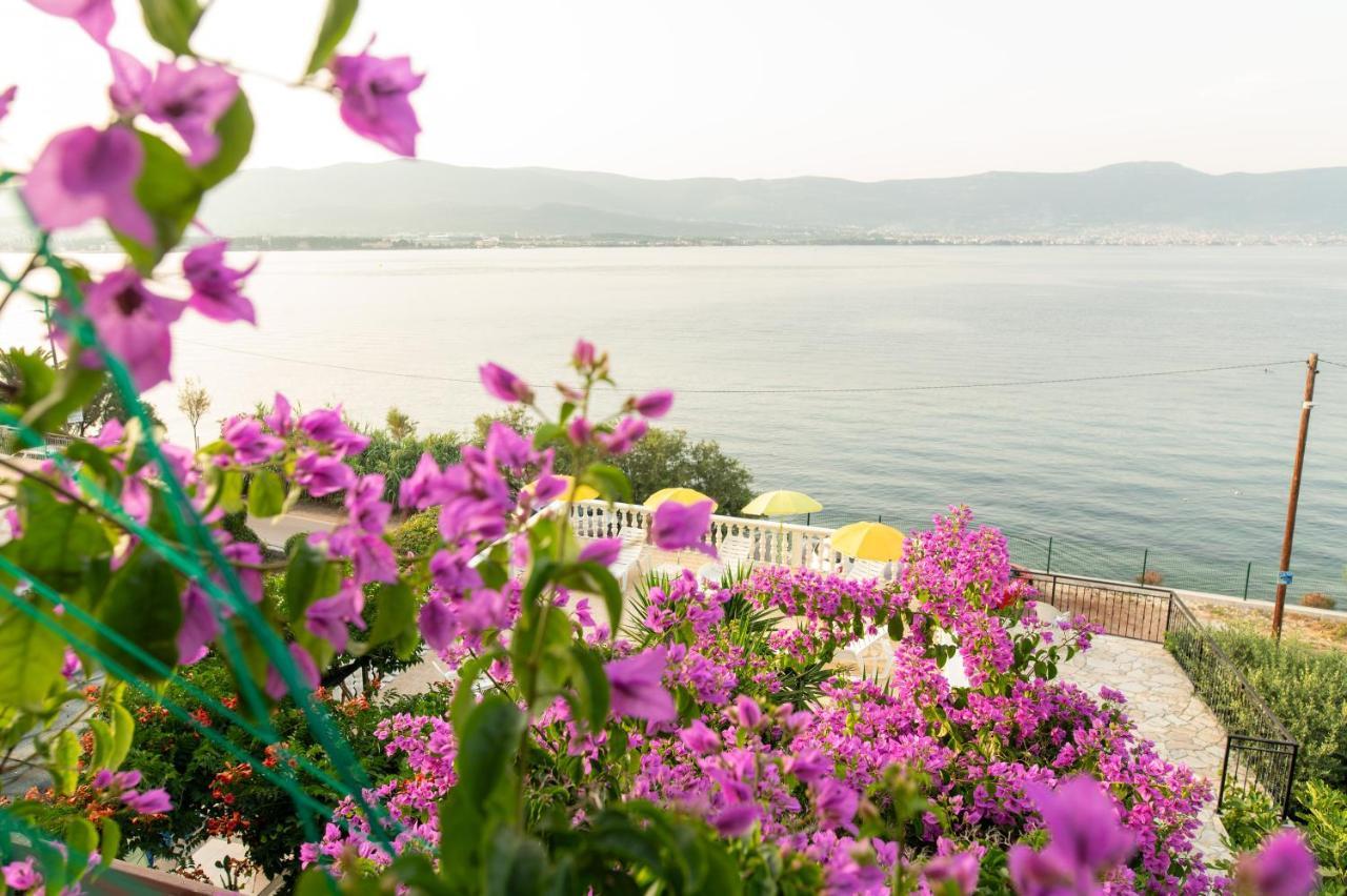 Villa Fjaba - By The Sea - With The Big Terraces & Great Sea View Trogir Dış mekan fotoğraf